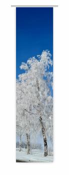 Flächenvorhang Die Traumallee, Schiebevorhang, Schiebegardine, modern, 60 cm breit, 2,